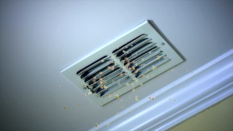 Best Air Duct Cleaning Company Near Me  in Brookville, OH