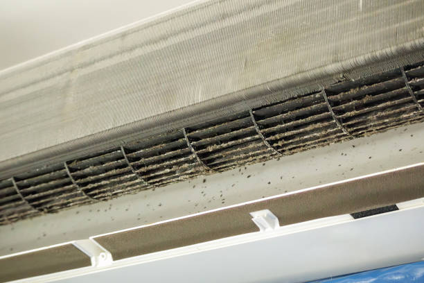 Best Professional Duct Cleaning Services  in Brookville, OH
